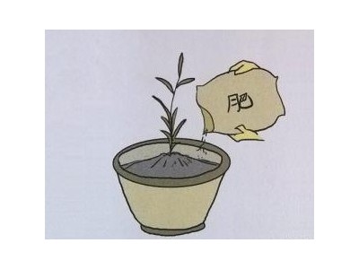 園林植物的要怎樣施肥？？