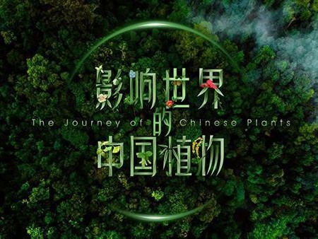 國內(nèi)首部植物紀錄片將于世園會推出！