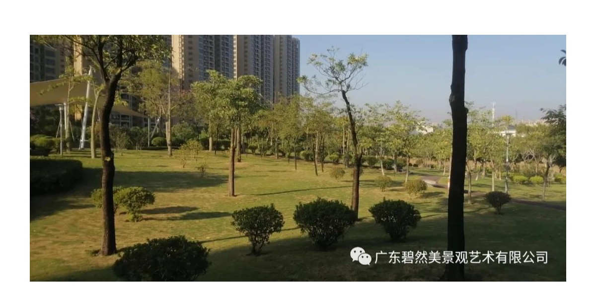 2020-2023年西南街道公共綠化養(yǎng)護(hù)項(xiàng)目（二標(biāo)段）