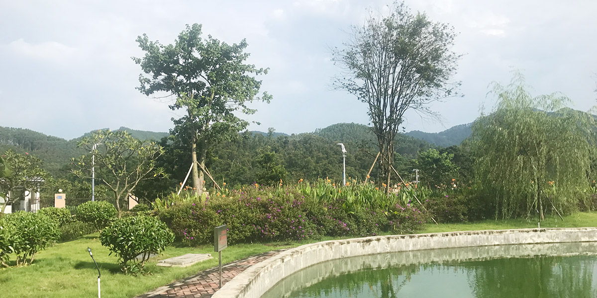 云勇生態(tài)公園園林綠化養(yǎng)護(hù)服務(wù)項(xiàng)目案例