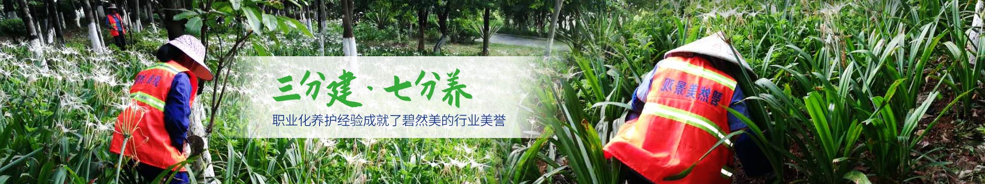 碧然美-園林綠化養(yǎng)護(hù)