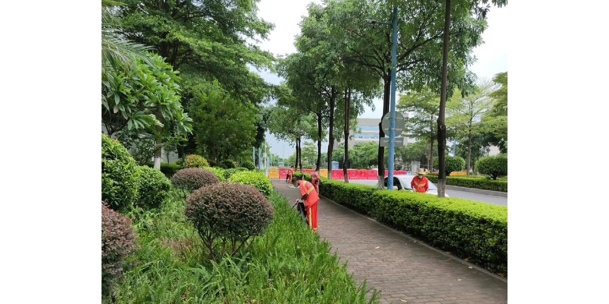 廣東新光源產(chǎn)業(yè)基地部分公共空間大市政綜合管養(yǎng)服務(wù)項目