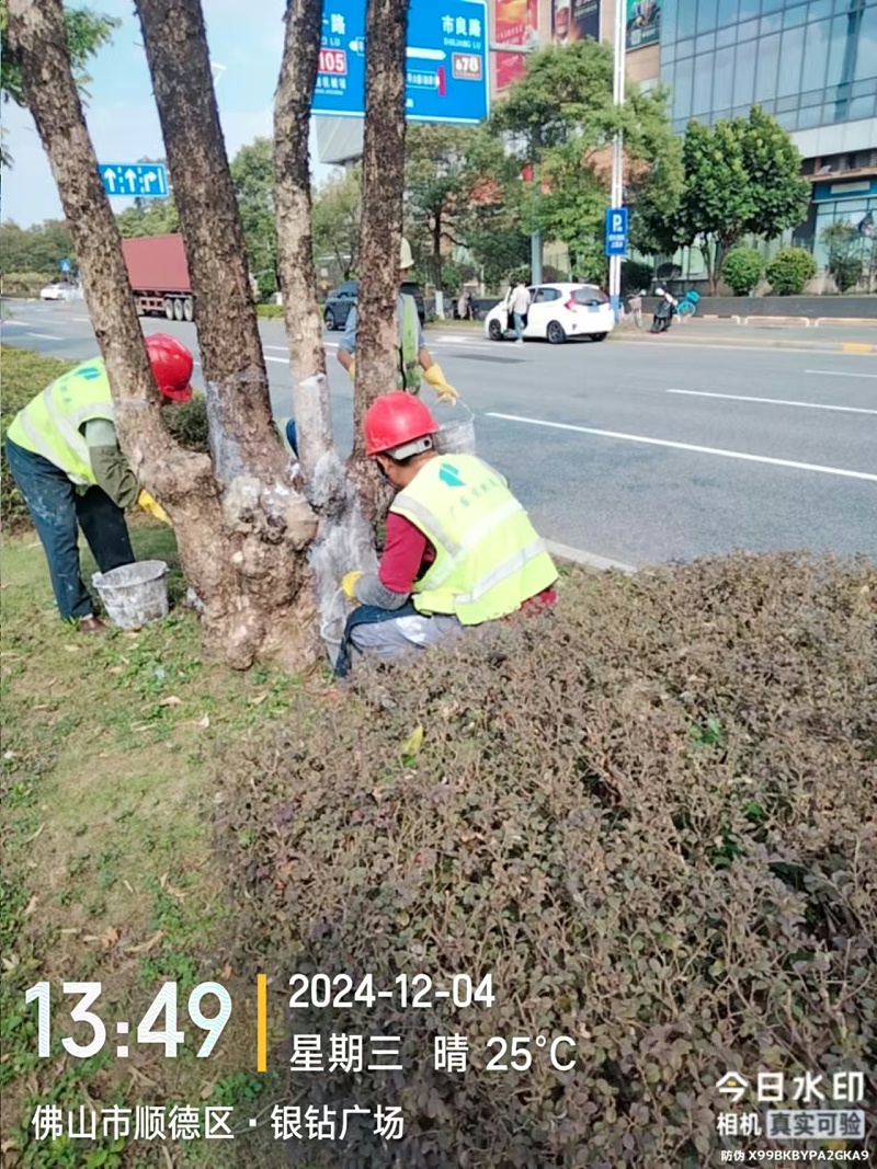 微信圖片_20241204151711