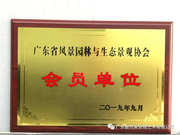 碧然美動(dòng)態(tài)