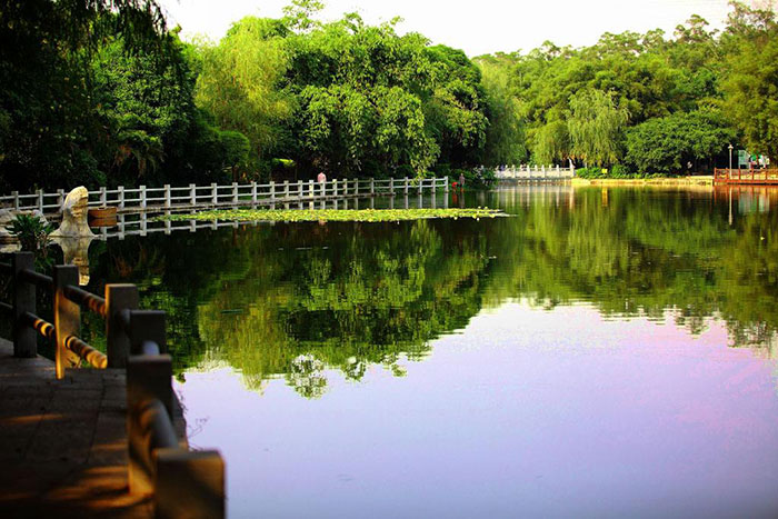 公園規(guī)劃設計