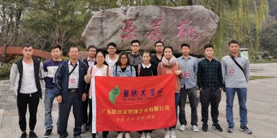 2019年度公司團(tuán)隊(duì)旅游