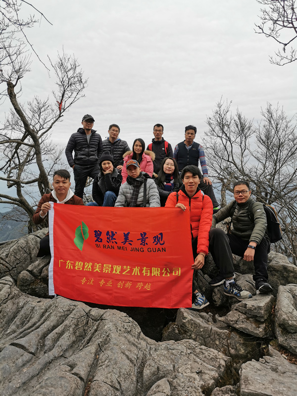 碧然美動態(tài)