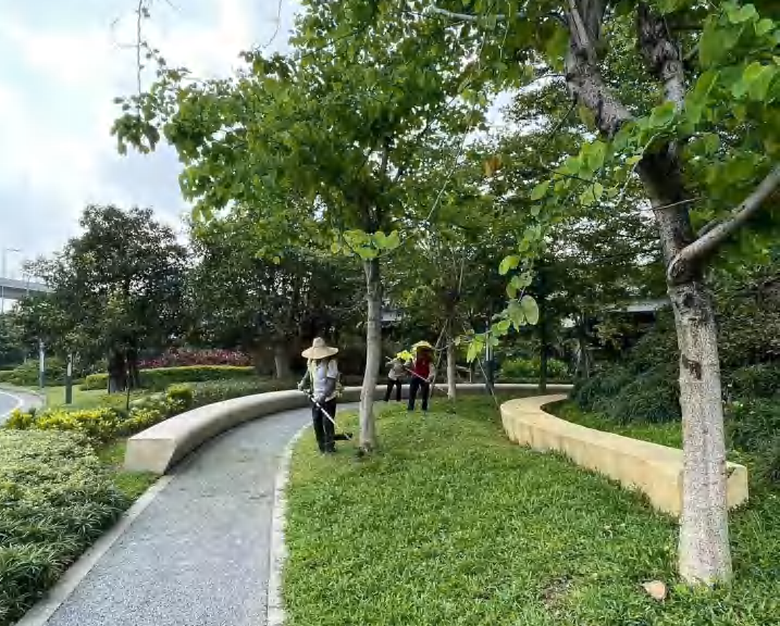 2023年三龍灣大道及相連道路時花種植和養(yǎng)護項目