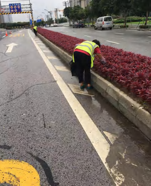 2023年三龍灣大道及相連道路時花種植和養(yǎng)護項目1