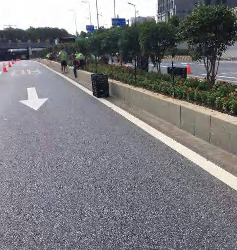 2023年三龍灣大道及相連道路時花種植和養(yǎng)護項目2