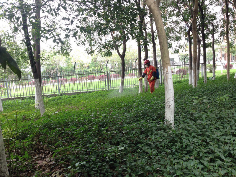 化學(xué)除草（噴藥）