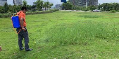 頑強(qiáng)的雜草如何消滅？
