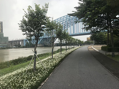 園林綠化養(yǎng)護(hù)