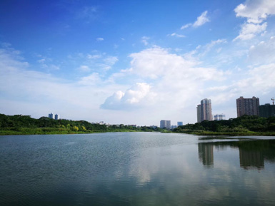 園林綠化養(yǎng)護(hù)
